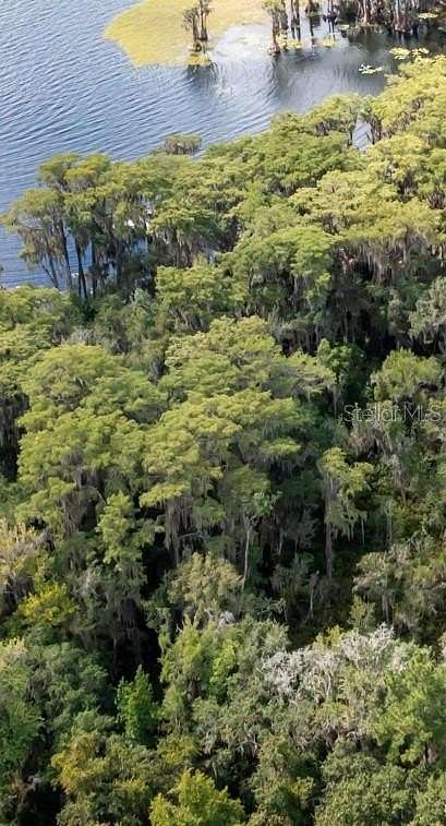 2.16 Acres of Residential Land for Sale in Earleton, Florida