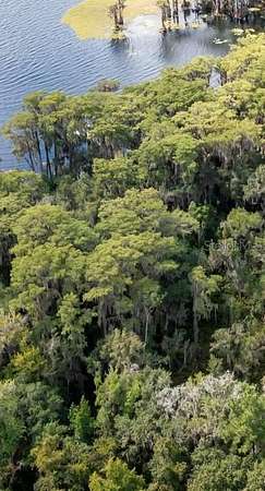 2.16 Acres of Residential Land for Sale in Earleton, Florida