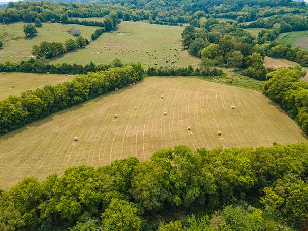 13.5 Acres of Land for Sale in Petersburg, Tennessee