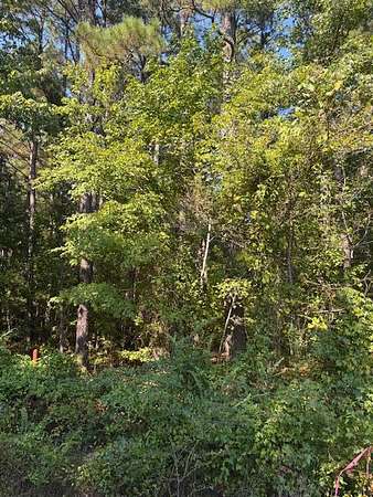 8.5 Acres of Residential Land for Sale in Taylor, Arkansas