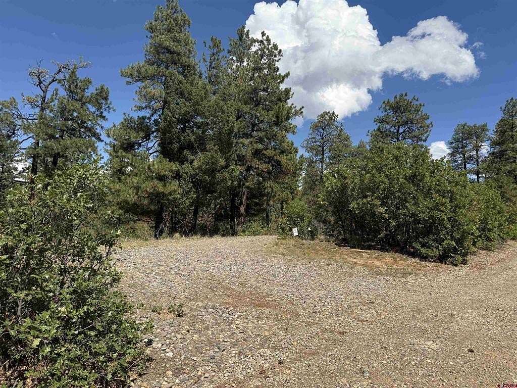 2 Acres of Land for Sale in Pagosa Springs, Colorado