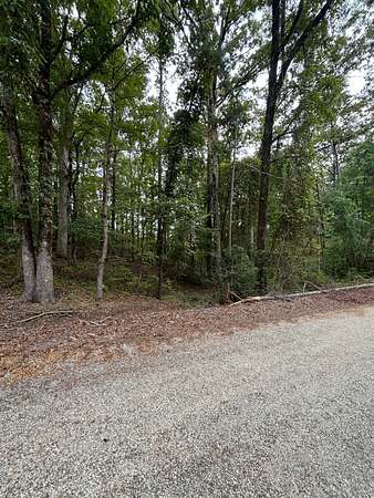 0.33 Acres of Land for Sale in Gore Springs, Mississippi