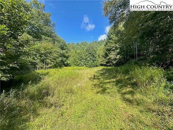 11 Acres of Land for Sale in Vilas, North Carolina