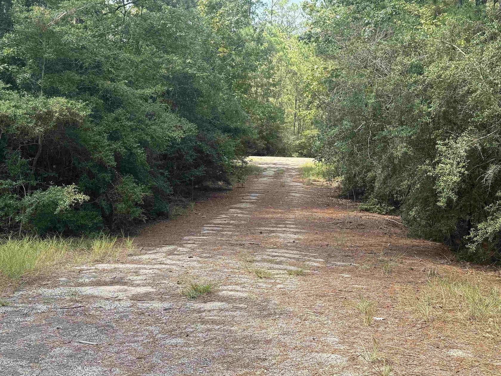 0.29 Acres of Residential Land for Sale in Brookeland, Texas