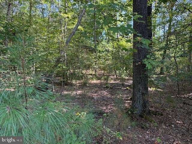 0.38 Acres of Residential Land for Sale in Ruther Glen, Virginia