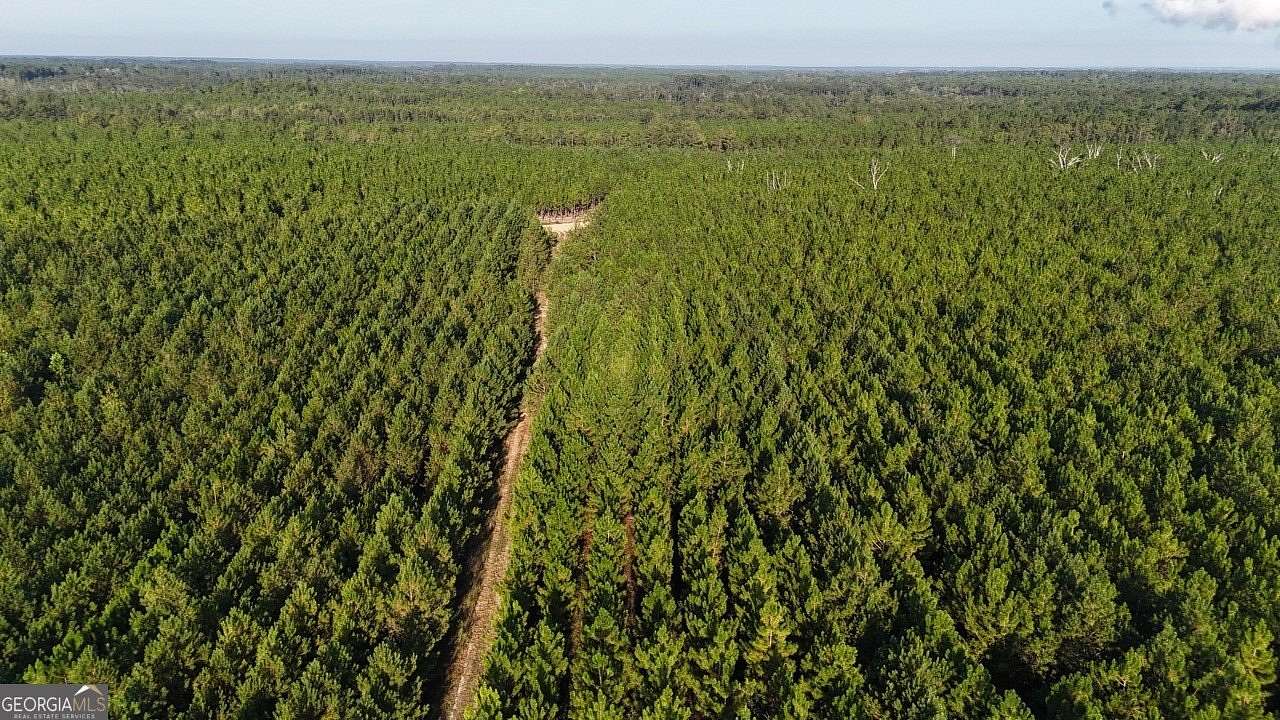 36.3 Acres of Recreational Land for Sale in Baxley, Georgia