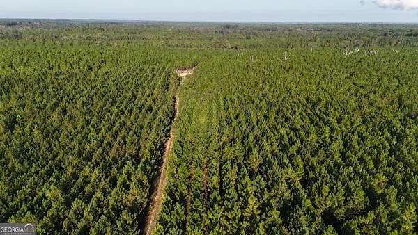 36.3 Acres of Recreational Land for Sale in Baxley, Georgia