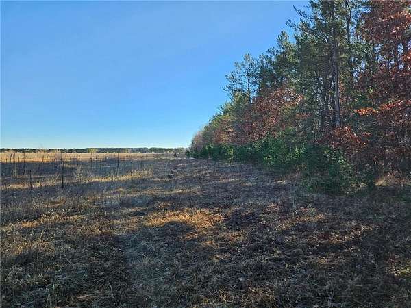 22.3 Acres of Agricultural Land for Sale in Sunrise Township, Minnesota