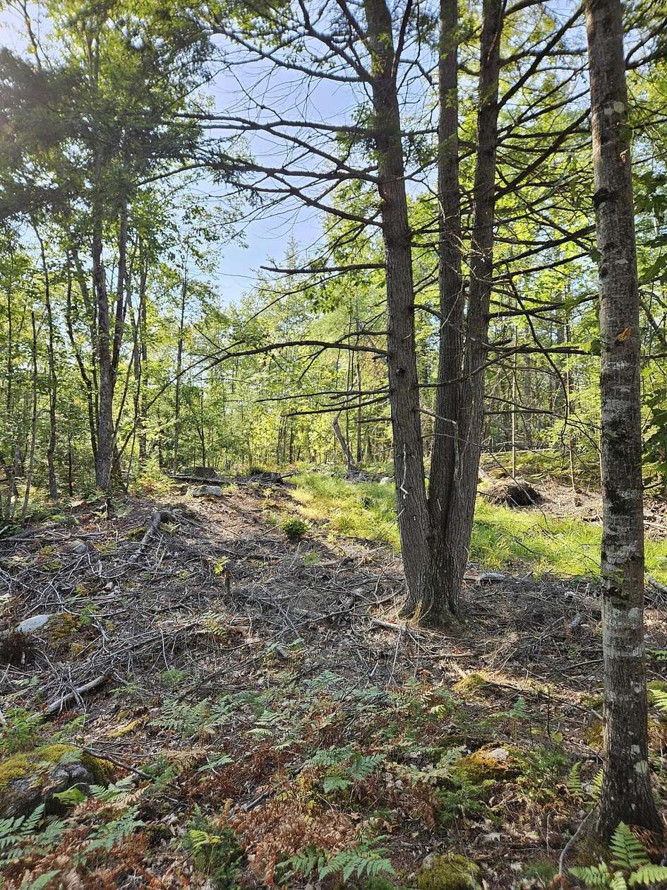 4 Acres of Residential Land for Sale in Oxford, Maine