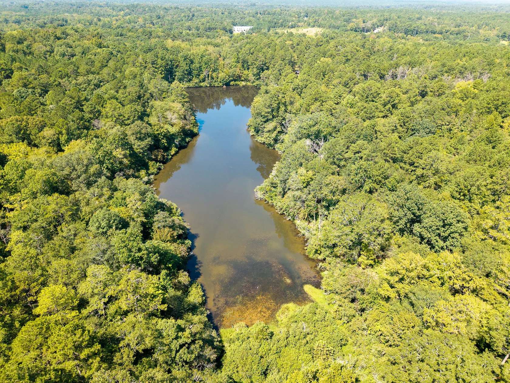 100 Acres of Land for Sale in Macon, Georgia