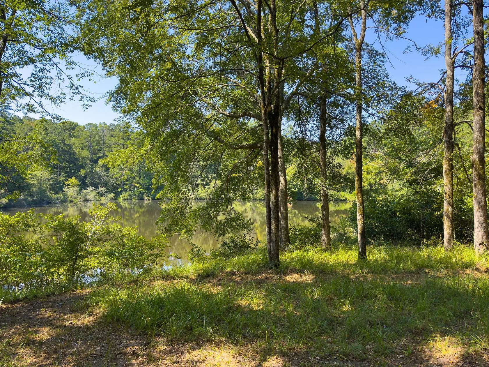 100 Acres of Land for Sale in Macon, Georgia