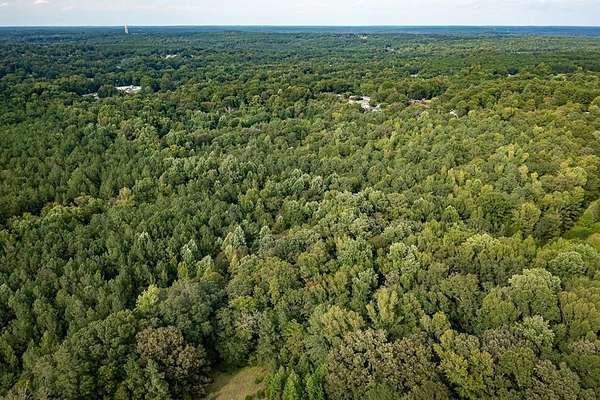 41 Acres of Land for Sale in Abbeville, South Carolina
