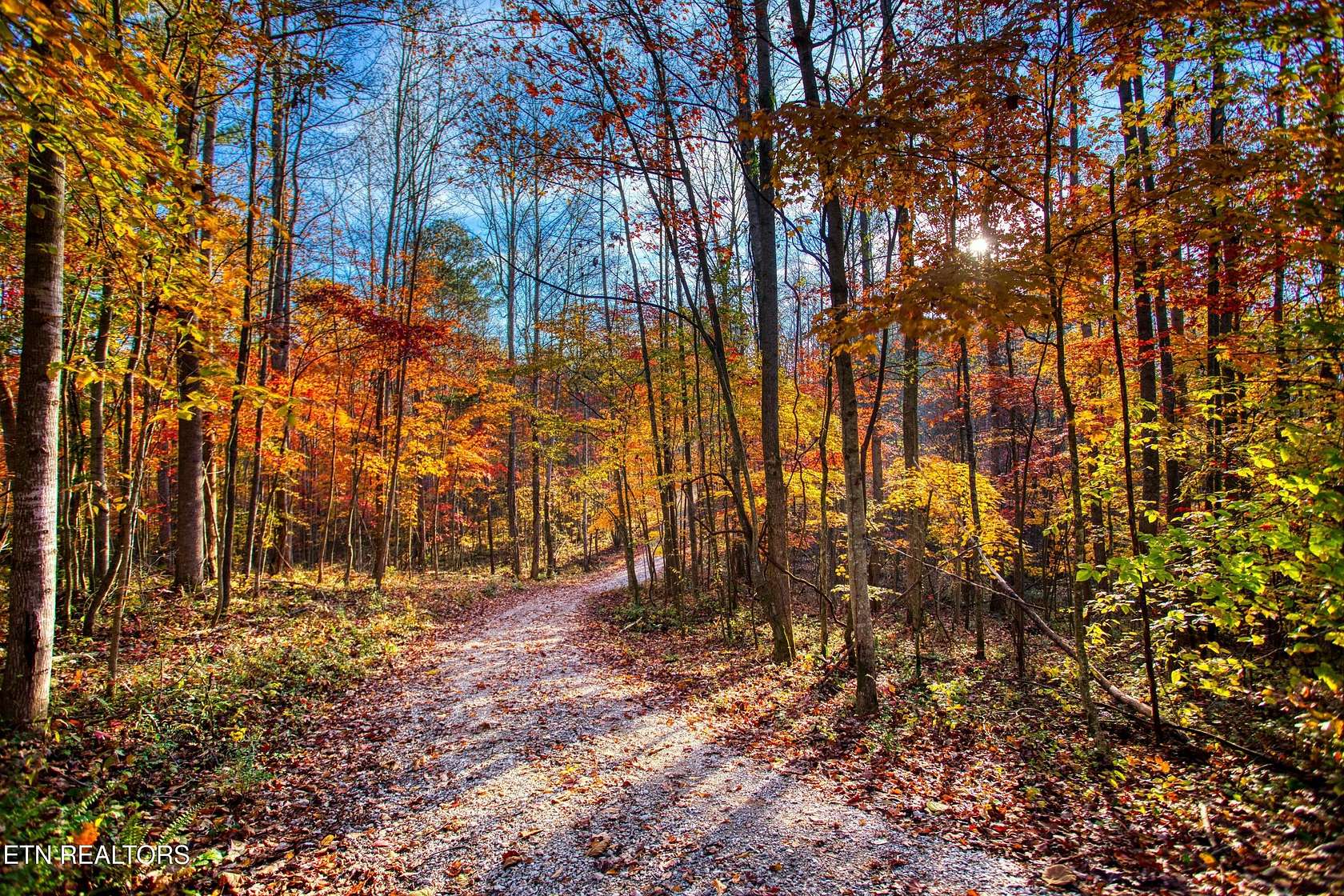 18.4 Acres of Recreational Land for Sale in Pall Mall, Tennessee