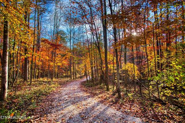 18.4 Acres of Recreational Land for Sale in Pall Mall, Tennessee