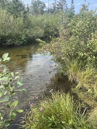 9.4 Acres of Residential Land for Sale in Atlanta, Michigan