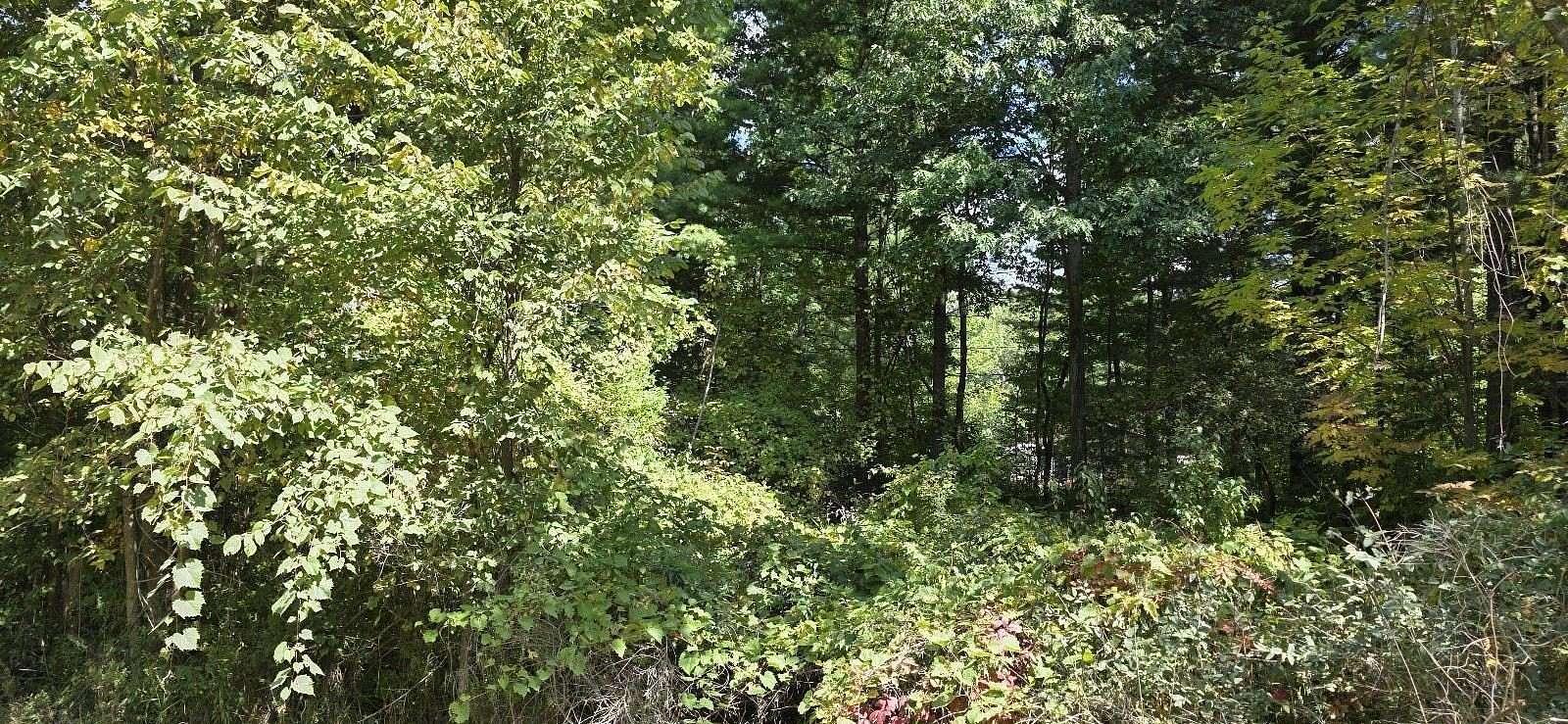 0.38 Acres of Residential Land for Sale in Gladwin, Michigan