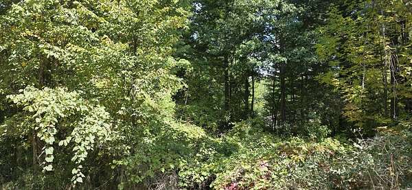 0.38 Acres of Residential Land for Sale in Gladwin, Michigan