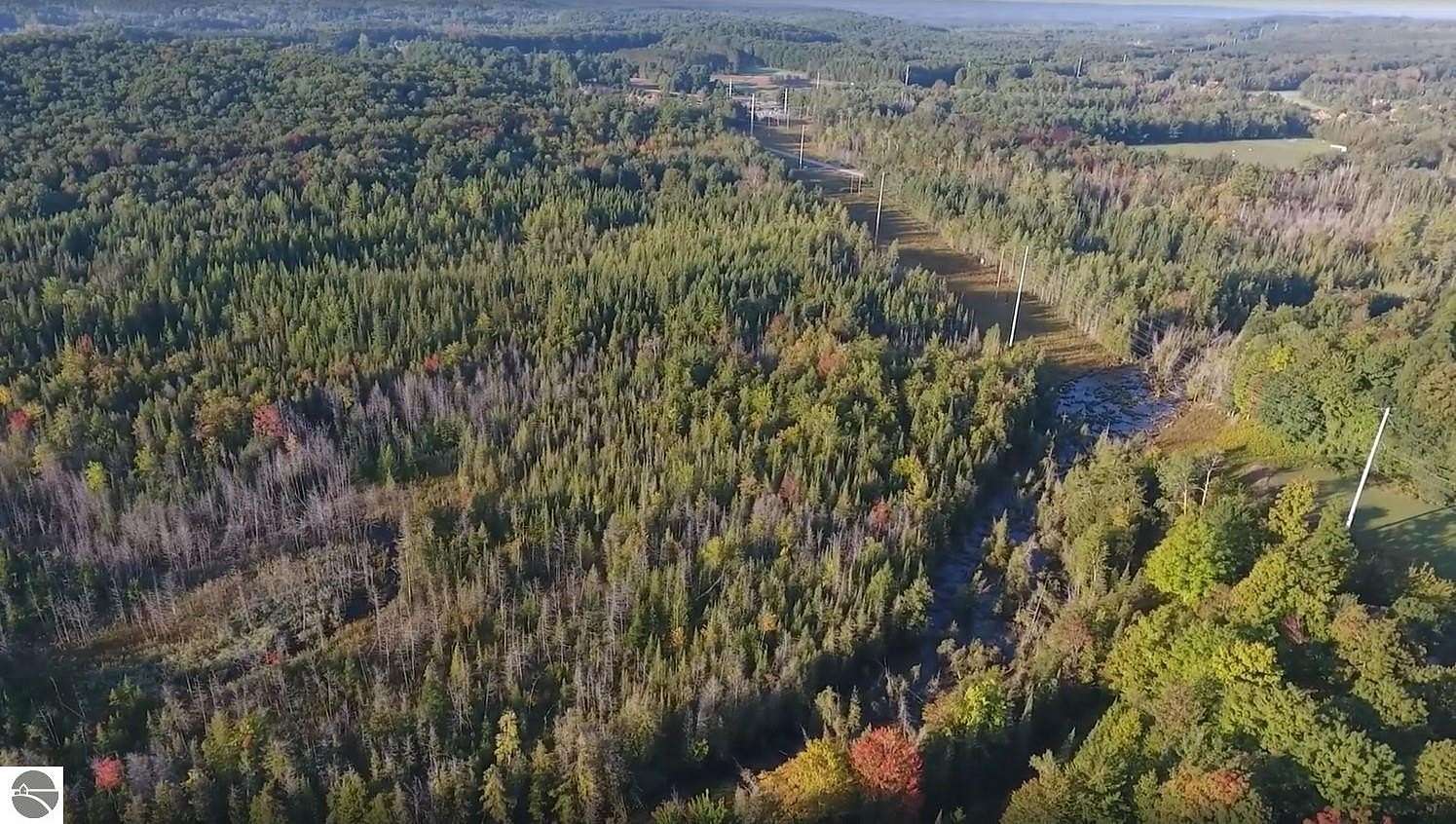 26 Acres of Recreational Land for Sale in Mancelona, Michigan