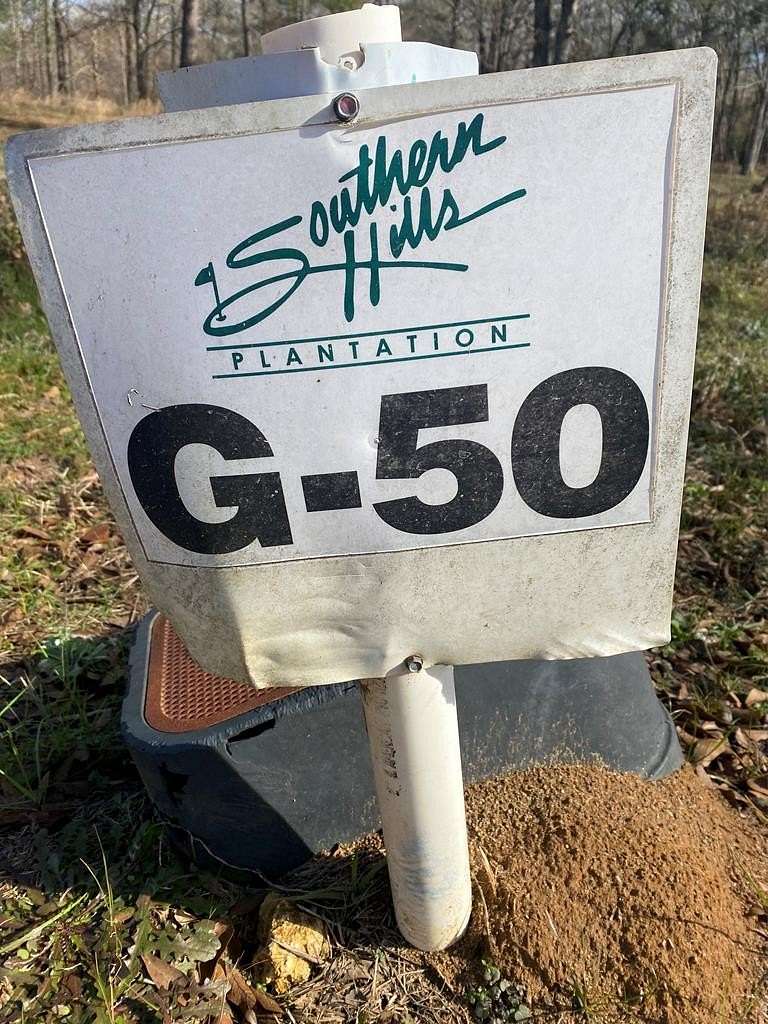 0.5 Acres of Residential Land for Sale in Hawkinsville, Georgia