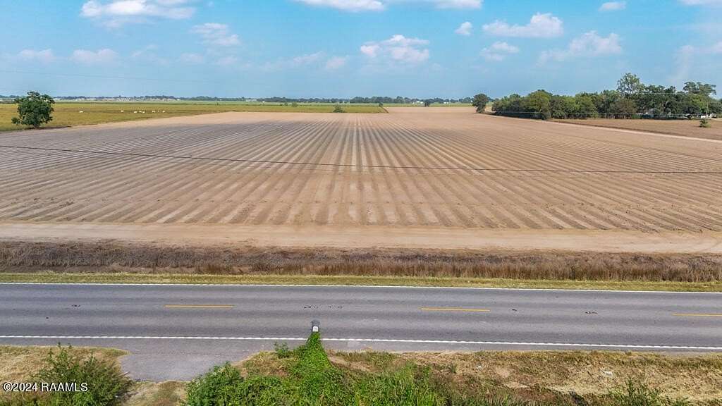 46 Acres of Land for Sale in Maurice, Louisiana