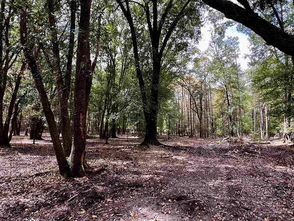 5 Acres of Residential Land for Sale in Quincy, Florida