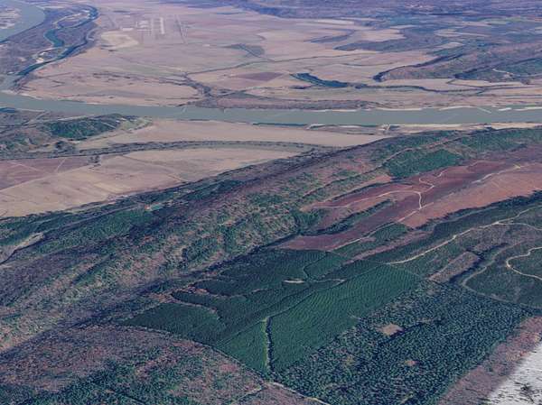 158 Acres of Recreational & Residential Land for Sale in Bigelow, Arkansas