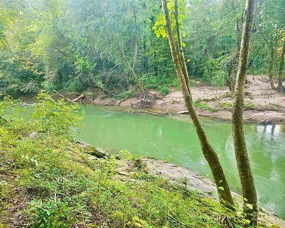 74.9 Acres of Agricultural Land for Sale in Rutherfordton, North Carolina