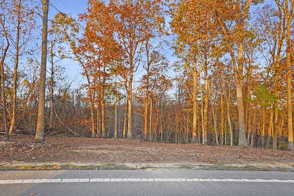 19 Acres of Land for Sale in Stewart, Tennessee