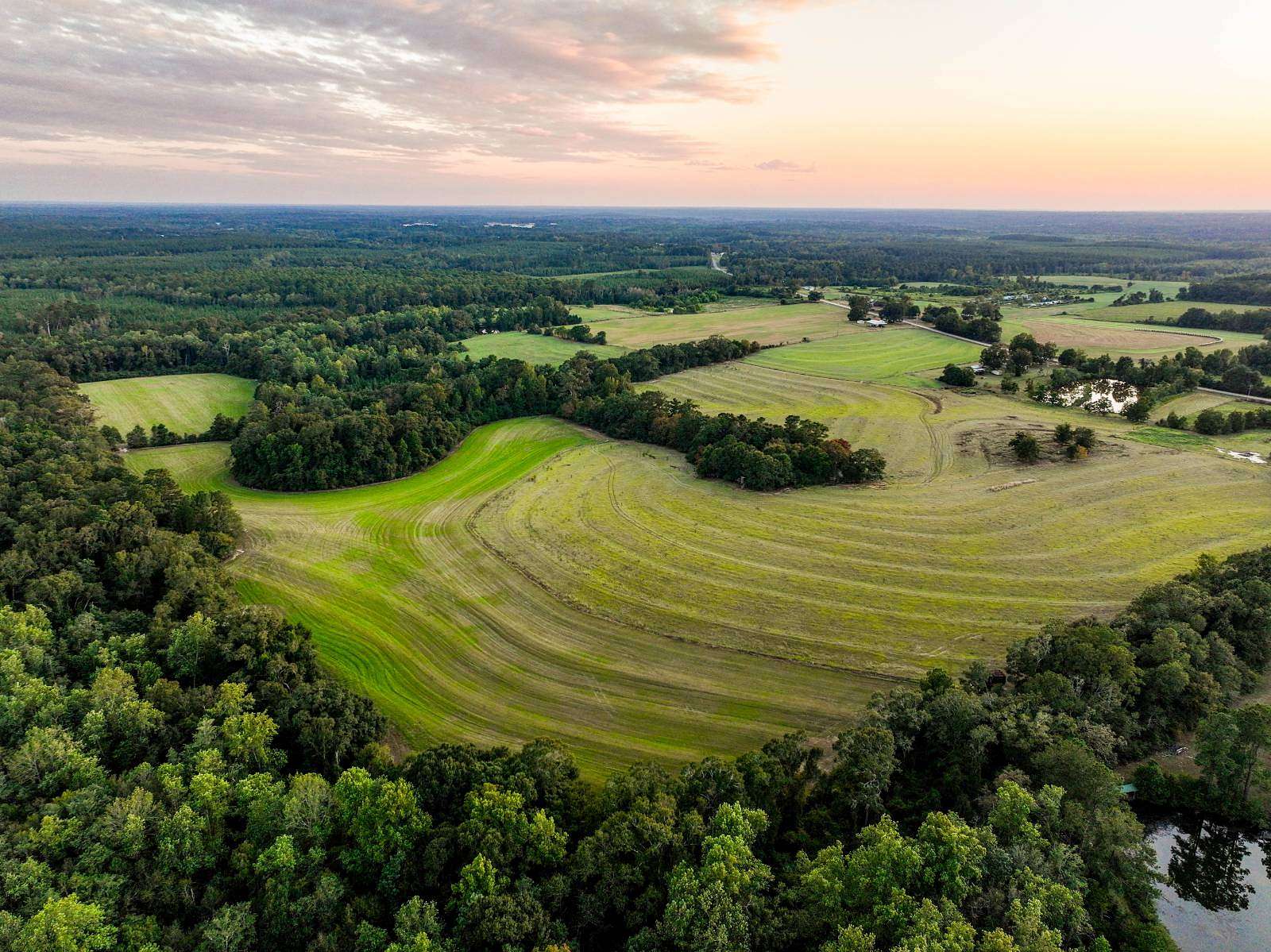 100 Acres of Land for Sale in Andalusia, Alabama