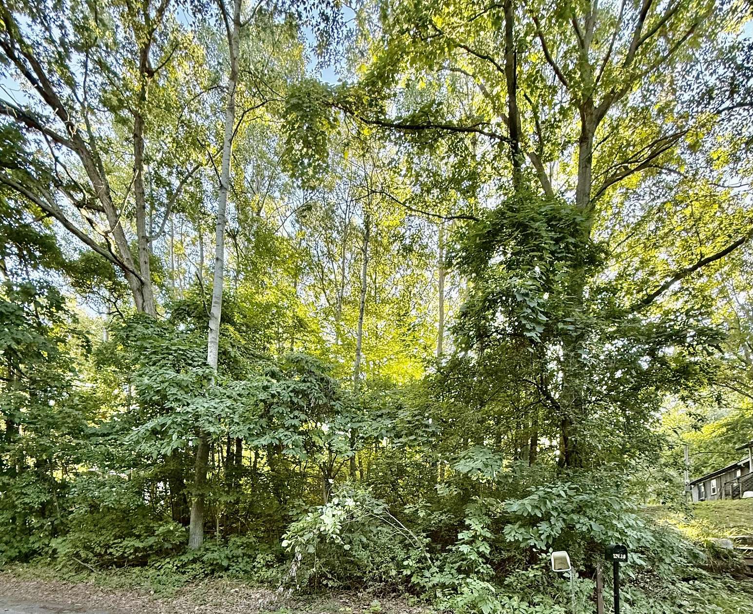 0.1 Acres of Residential Land for Sale in Sand Lake, Michigan