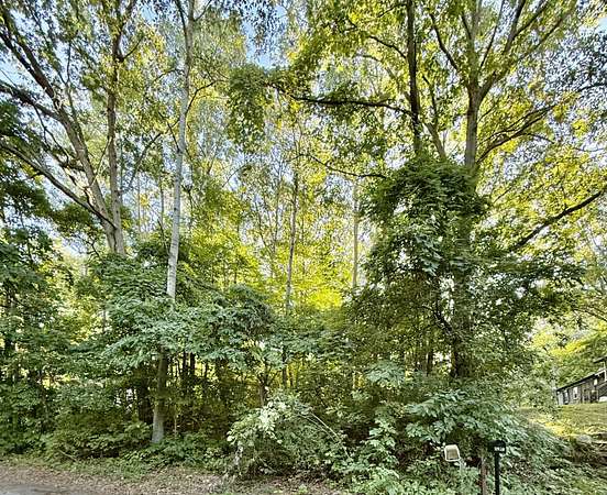 0.1 Acres of Residential Land for Sale in Sand Lake, Michigan