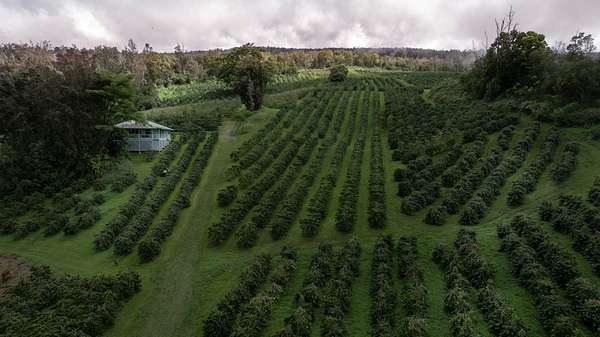 78.6 Acres of Recreational Land with Home for Sale in Captain Cook, Hawaii