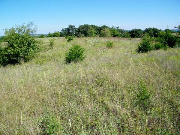 80 Acres of Land for Sale in Macomb, Oklahoma