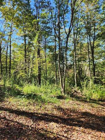 20 Acres of Land for Sale in Logan, Ohio