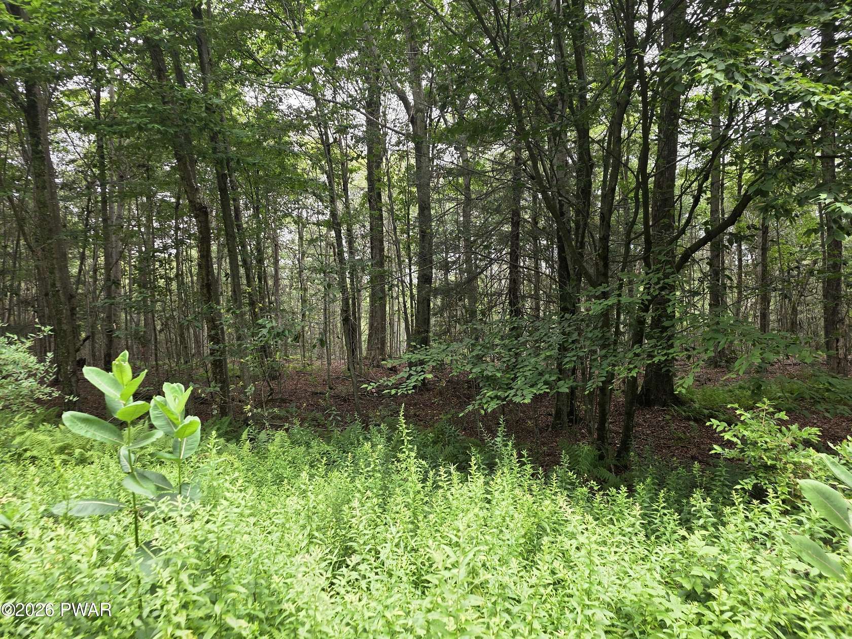 1 Acre of Residential Land for Sale in Newfoundland, Pennsylvania