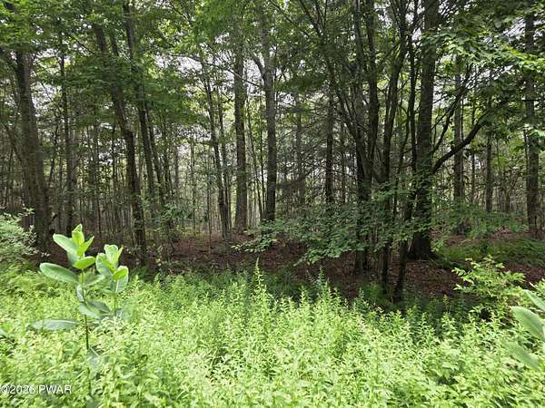1 Acre of Residential Land for Sale in Newfoundland, Pennsylvania