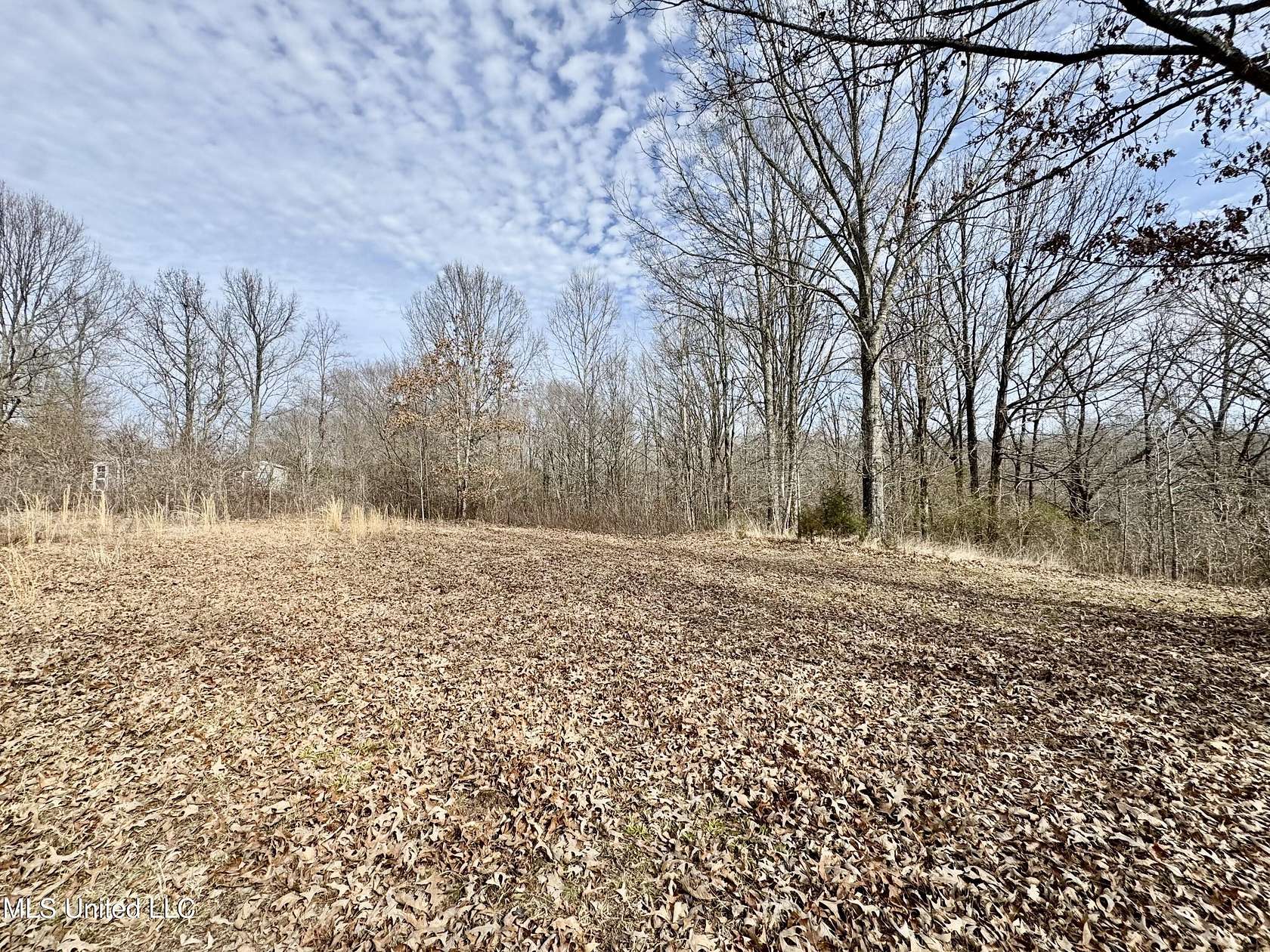 4 Acres of Land for Sale in Coldwater, Mississippi