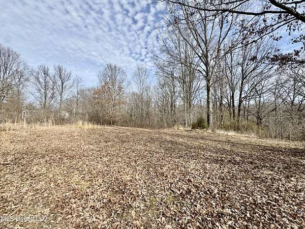 4 Acres of Land for Sale in Coldwater, Mississippi