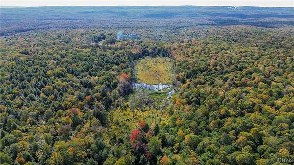 31.6 Acres of Recreational Land for Sale in Little Falls, New York