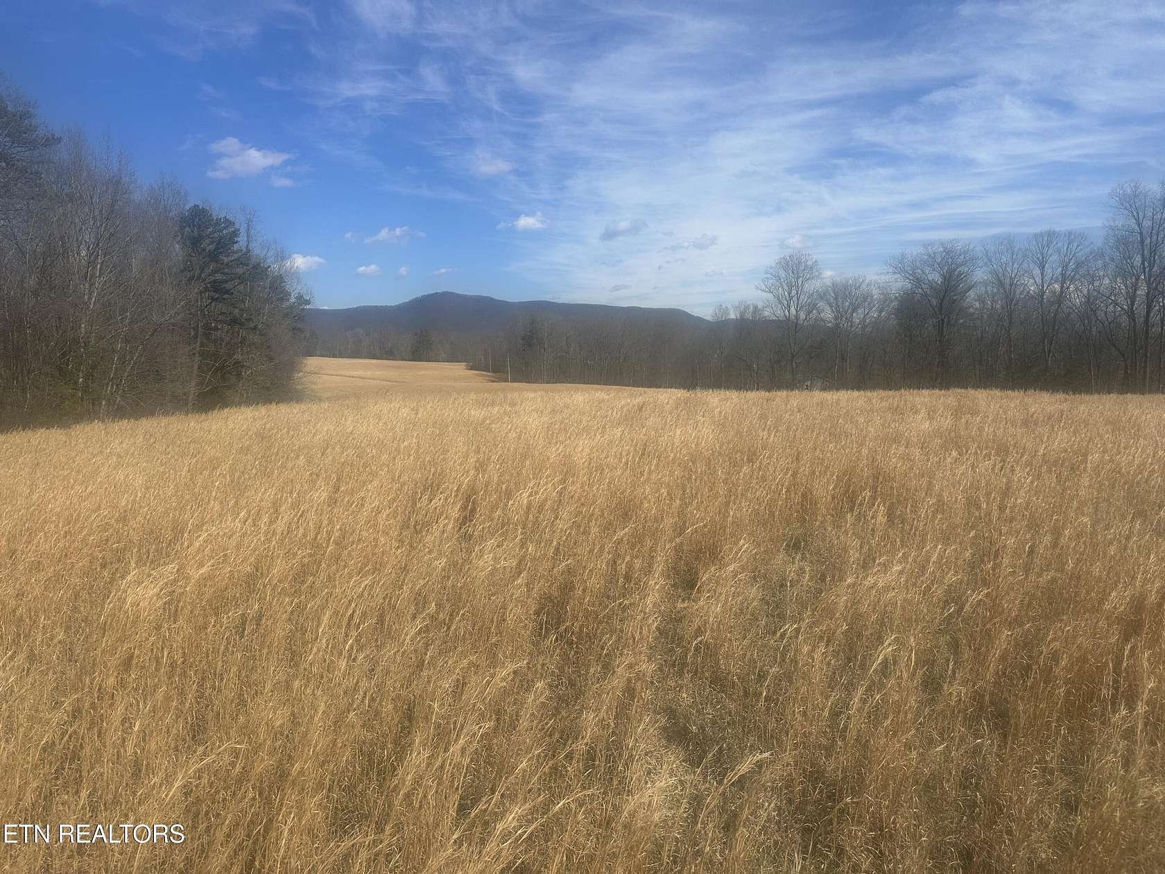 16.9 Acres of Land for Sale in Oakdale, Tennessee