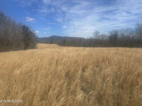 16.9 Acres of Land for Sale in Oakdale, Tennessee
