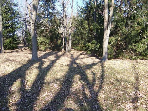 12 Acres of Land for Sale in Maple Park, Illinois