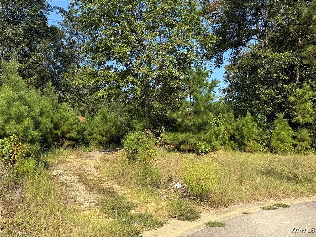 6 Acres of Residential Land for Sale in Tuscaloosa, Alabama