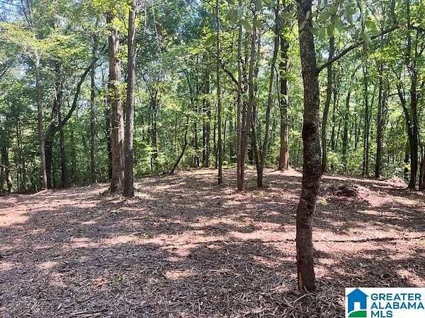 4.68 Acres of Residential Land for Sale in Pell City, Alabama