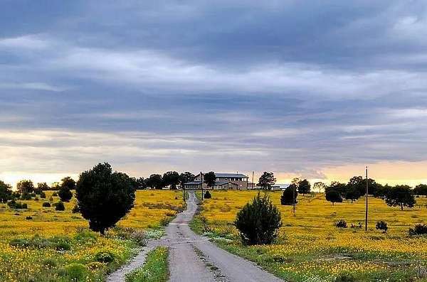 5 Acres of Residential Land with Home for Sale in Pie Town, New Mexico