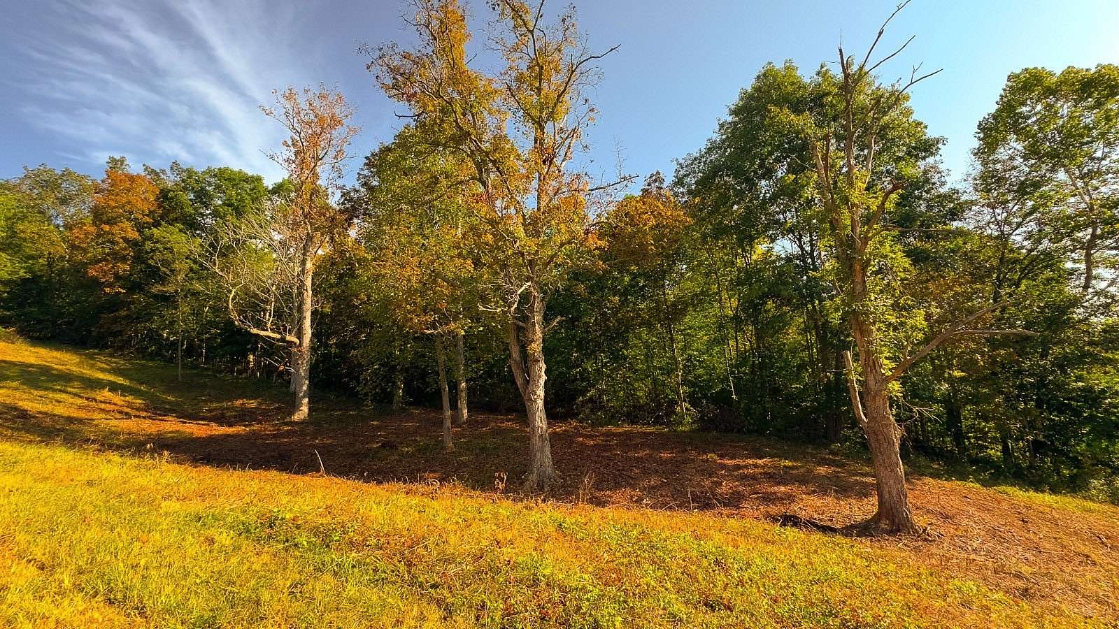 1.23 Acres of Residential Land for Sale in Patriot, Ohio