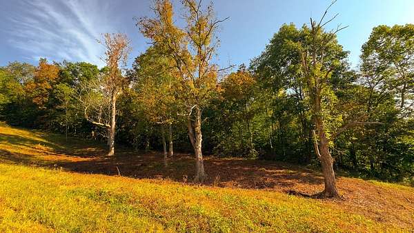 1.23 Acres of Residential Land for Sale in Patriot, Ohio