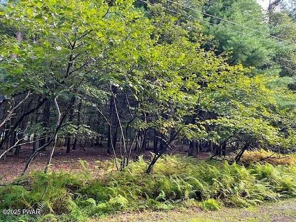 0.59 Acres of Residential Land for Sale in Dingmans Ferry, Pennsylvania