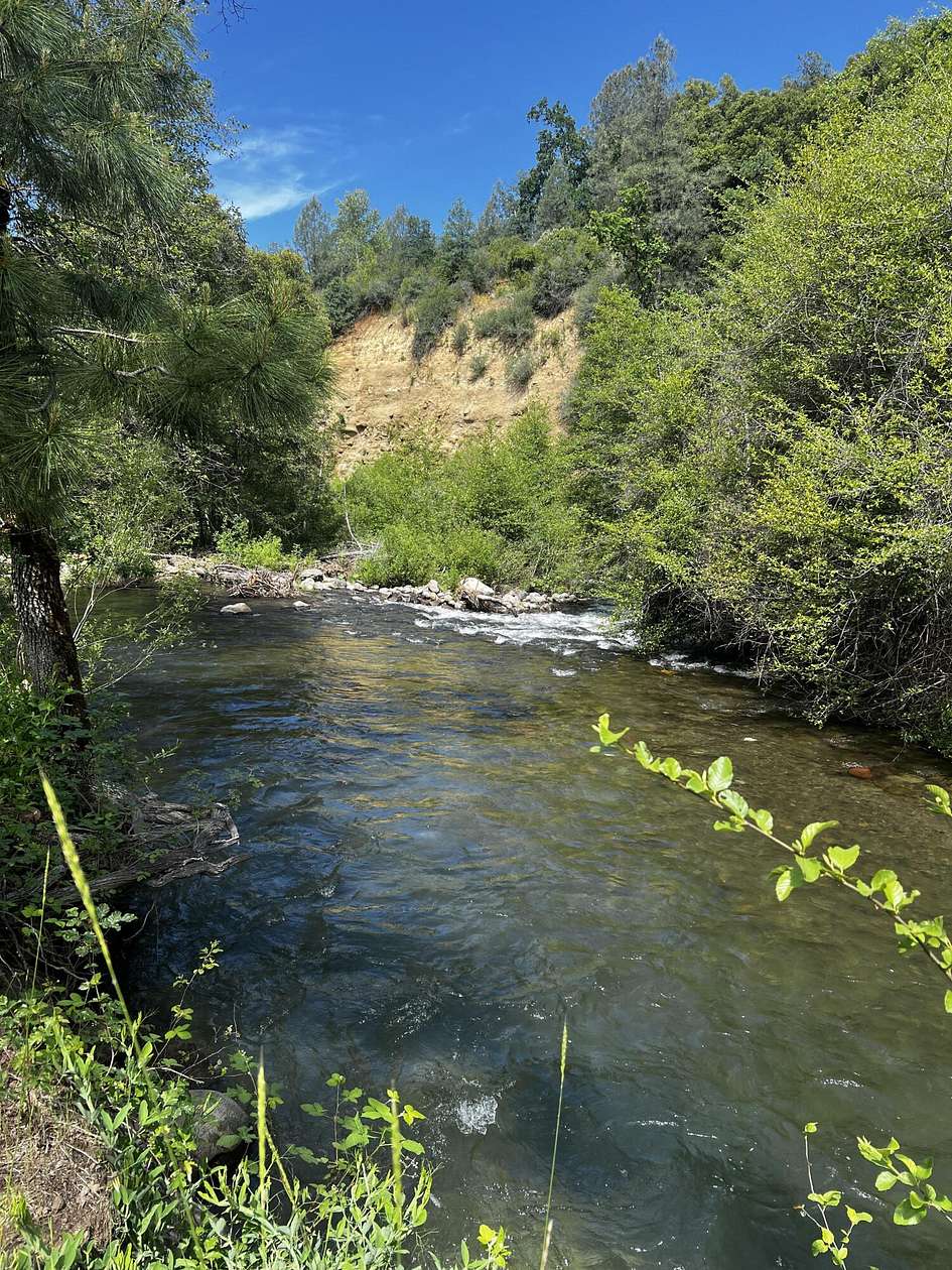 80 Acres of Recreational & Residential Land for Sale in Whitmore, California