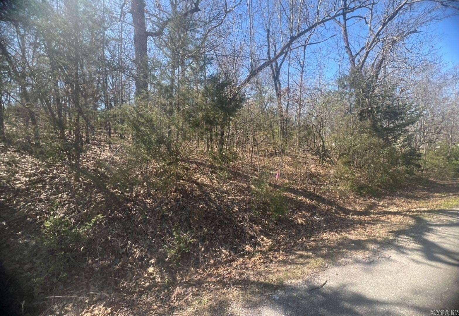 0.2 Acres of Residential Land for Sale in Horseshoe Bend, Arkansas